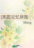 [黑篮]记忆拼图