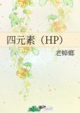 四元素训练师土国攻略
