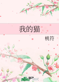我的猫