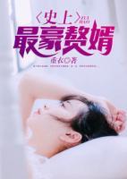 史上最豪赘婿叶沧海txt下载