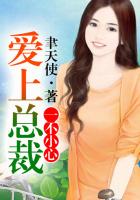 一不小心爱上总裁大人