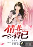 情非得已小说
