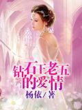 钻石王老五的爱情故事第二部