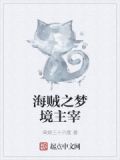 海贼之梦境主宰txt下载精校