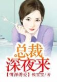 一夜惊喜总裁夜来袭免费阅读