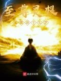 至尊灵根之重返十七岁