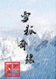 电视剧雪狐