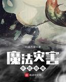 魔法灾害保险指南 小说