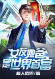 岳丈大人是首富小说