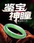 鉴宝神瞳在都市小说完整版