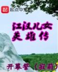 江汉儿女英雄传