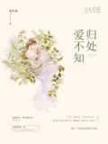 小说名字:爱不知归处