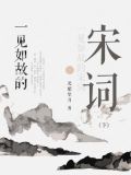 一见如故的宋词（下）