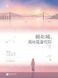 顾北城,我还是喜欢你2 百度网盘