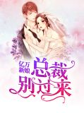 亿万新娘：总裁别过来贺新乾