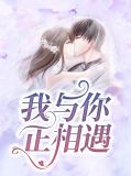 我与你正相遇顾淮琛免费阅读