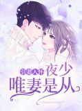 夜少撩妻入骨在线阅读