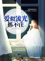你似流光抓不住
