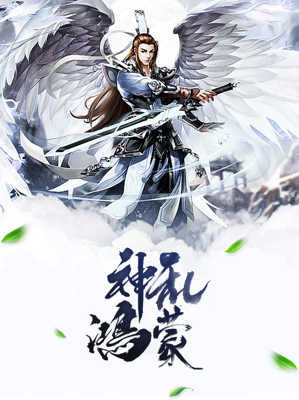 神乱鸿蒙林天羽林诗雨