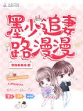 墨少追妻路漫漫免费阅读言心心