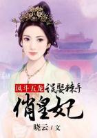 凤斗小说