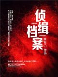 侦缉档案4