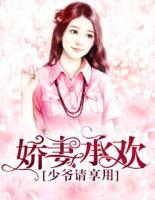 宠妻少爷
