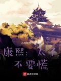 康熙太子不要慌TXT