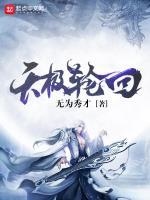 天极轮回几个女主角