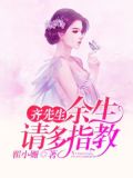 齐先生余生请多指教txt