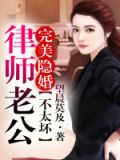 完美隐婚,律师老公不太坏 望晨莫及