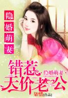 隐婚萌妻错惹天价老公简介