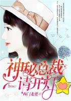 神秘总裁,请开灯! 西门龙霆下载