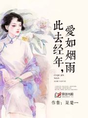 此去经年爱如烟雨txt