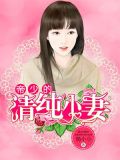 帝少的小娇妻全文