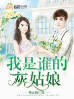 我是谁的灰姑娘 小说