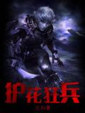 护花兵王下载
