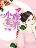 小妻难养下载