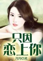 恋只因循环