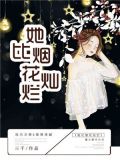 她比烟花灿烂沈世修林昭
