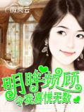 厉君擎叶浅溪