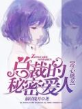 攻心掳爱总裁的秘密爱人百度云