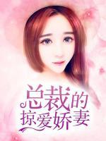 总裁的蜜爱娇妻免费阅读