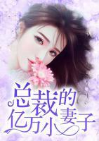 总裁的亿万小妻子目录
