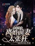 婚途漫漫:陆总裁请离婚