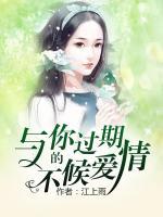 与你过期不候的爱情歌词