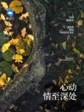 赢擎苍辛晴全目录