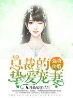 强势攻婚总裁的挚爱宠妻TXT