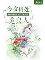 今夕何处觅良人什么意思
