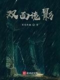 双面诡臣 豆瓣